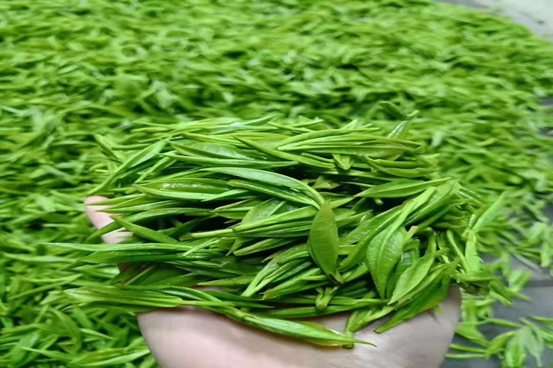 《江南风诗刊》三社同题诗(古洞春茶业集团冠名)(图5)