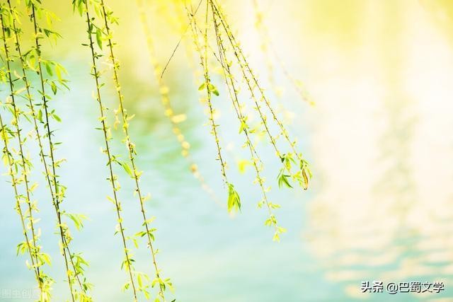 品赏名家韩瑛(长流水)老师随笔《己言偏语》（图5）