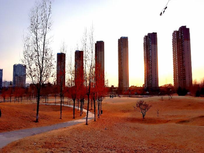 吕义孝||(图•文)兰州,你好(图6)