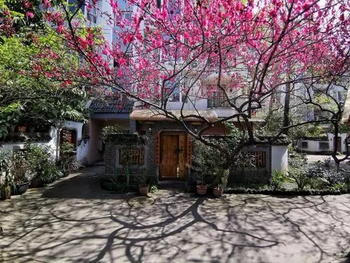 【梅园之音】听安湛 大梅朗诵《桃花依旧》作者:陶鸿江(图6)