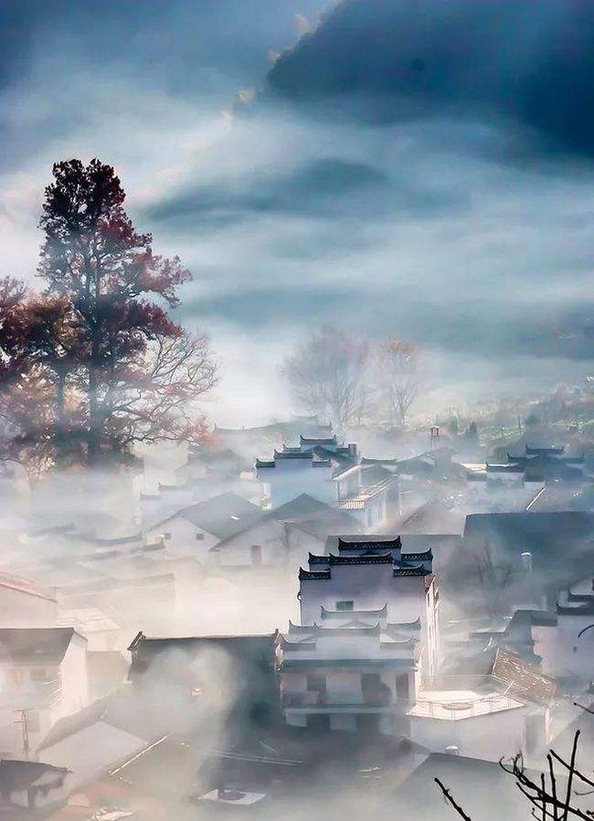 【梅园之音】听安湛 大梅朗诵《桃花依旧》作者:陶鸿江(图8)