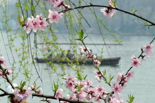 《冬日独行观山湖》蓝雨(图9)