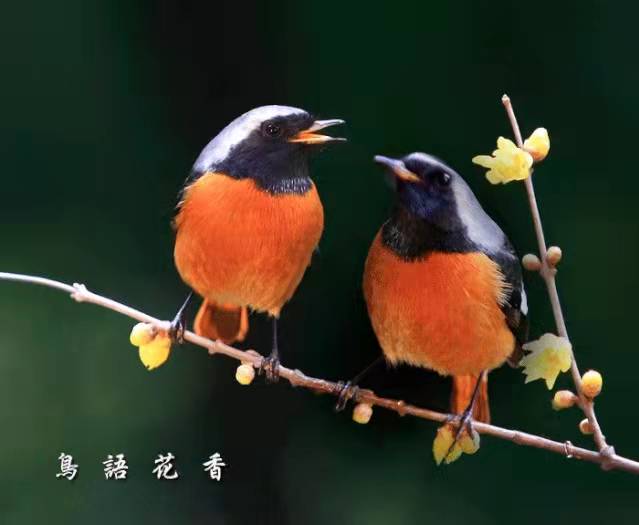 111沈守华作品:学诗有感(图4)