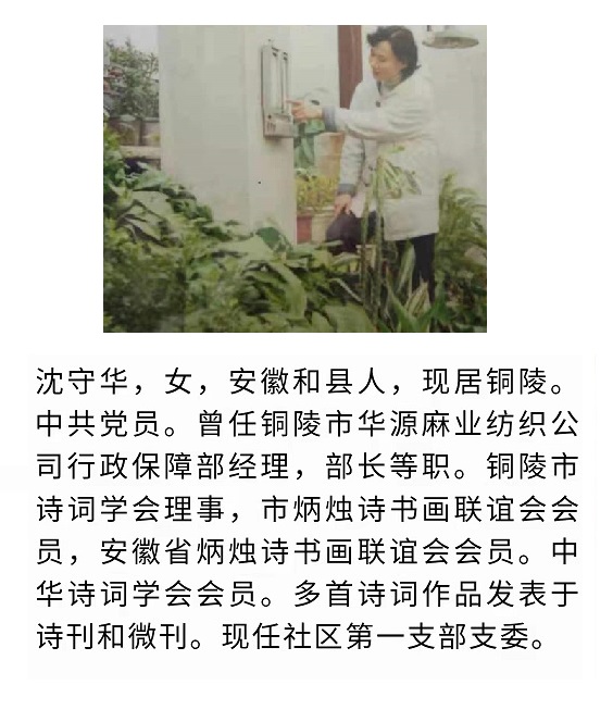 111沈守华作品:学诗有感(图11)
