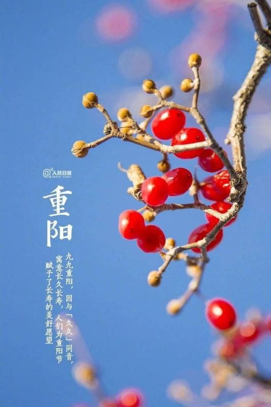 秋思（9首）（《平水韵》）（山东莘县）孙春红（山东）【冰心文化传媒】制作 冰心（图19）
