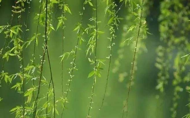 【我说农历二月二龙抬头】作者/李石 朗诵/牛丽君(图5)