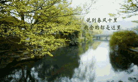(诗词小辑)作者:王新华(河北)【冰心文化传媒】(图5)