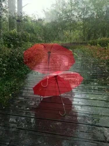 《红雨伞》作者：刘伯华；金牌主播：梦露；编辑：宋梅【中国长江文学社】有声文学平台第3431期（图7）