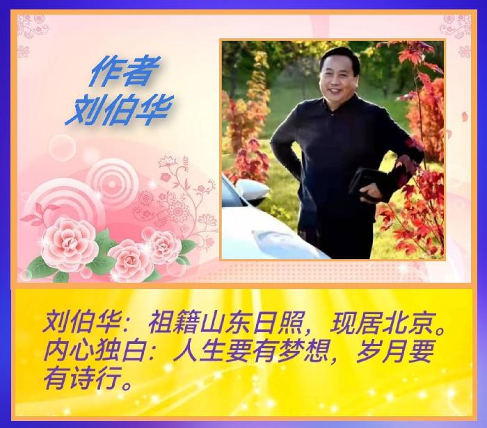 【中国字话】《方圆艺术》候鸟群2022“三八节”女子文学大型专题诵读诗会【特刊7】（图52）