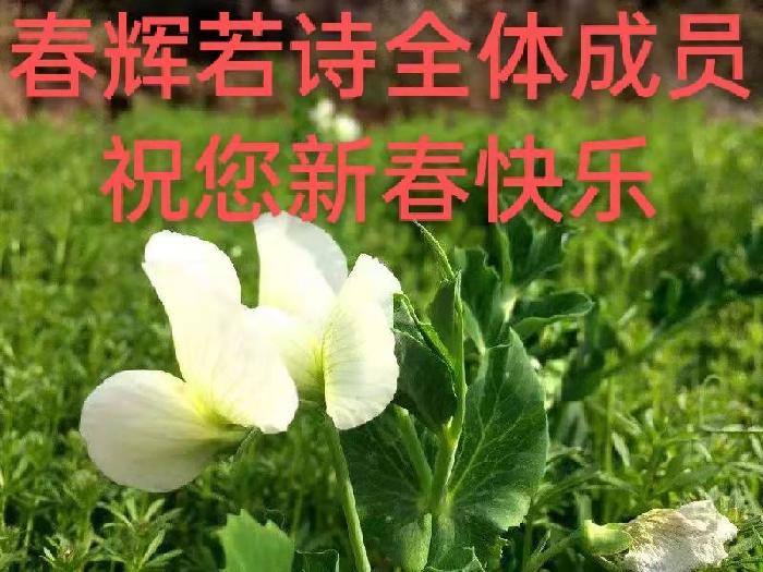 刘祥林老师佳作推荐 鹧鸪天.为葫芦岛市降至低风险而歌 精英主播 时光无声 春辉若诗墨飘香第1357期