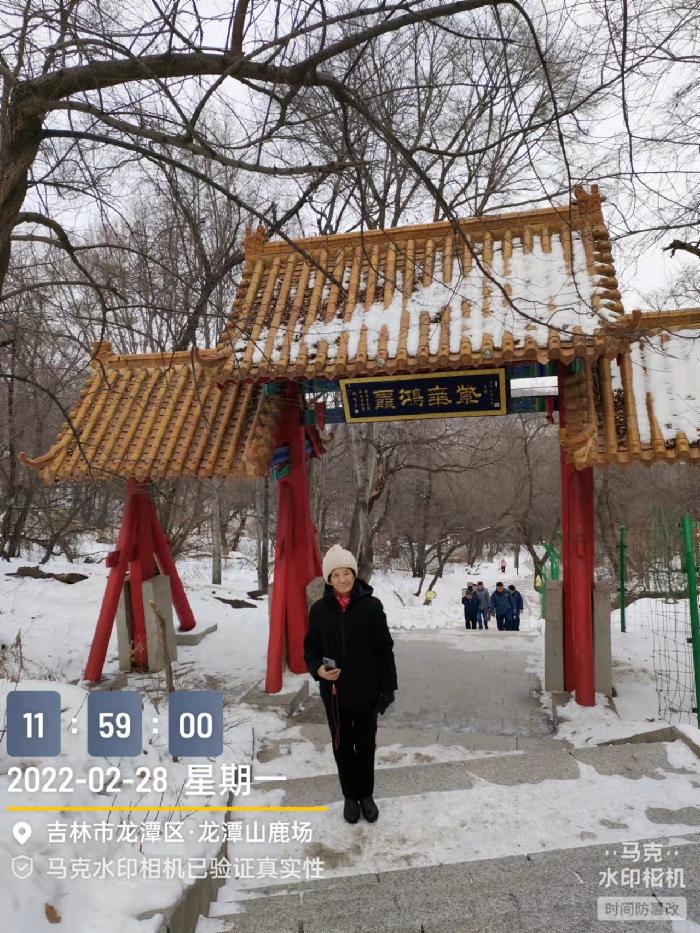 沁园春二登龙潭山作者孙秀兰（图3）