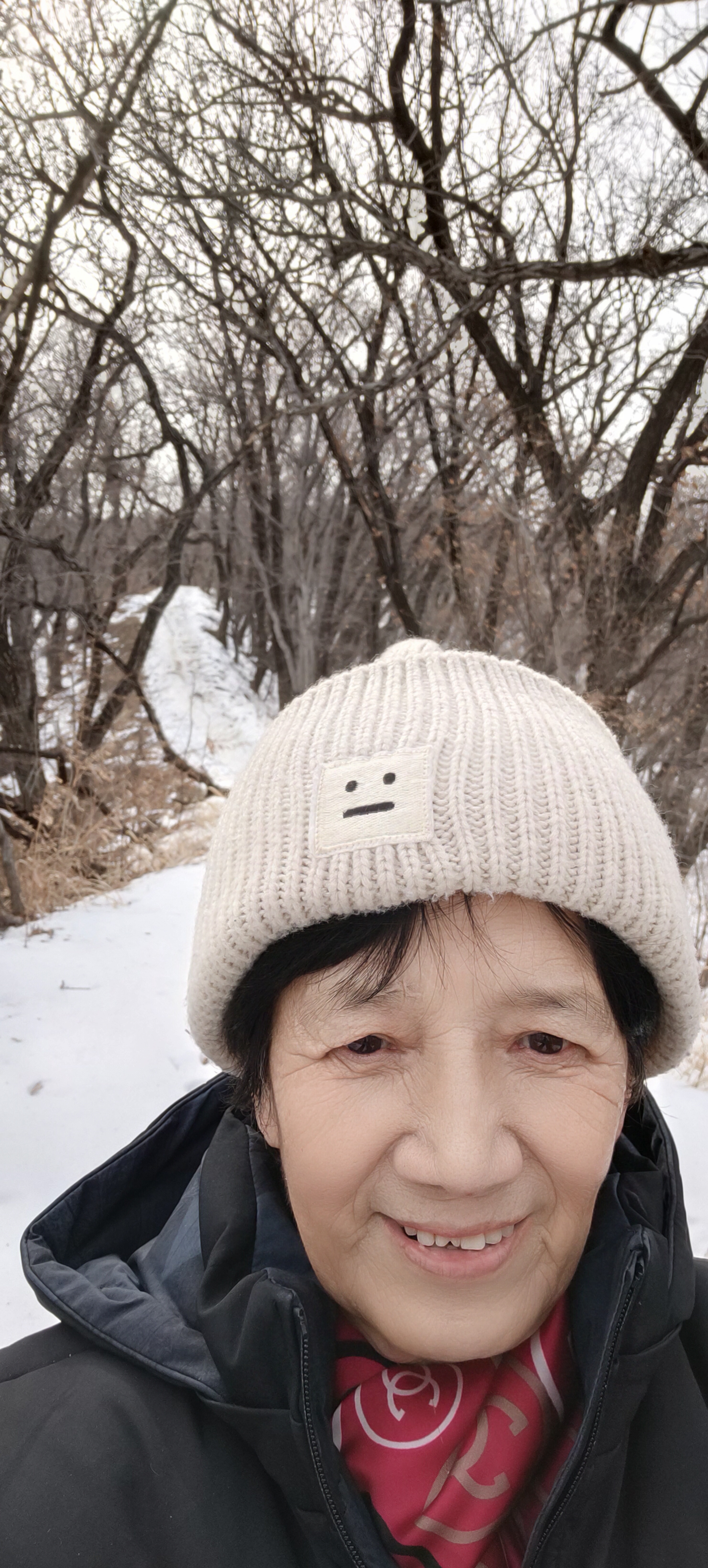 沁园春二登龙潭山作者孙秀兰（图12）