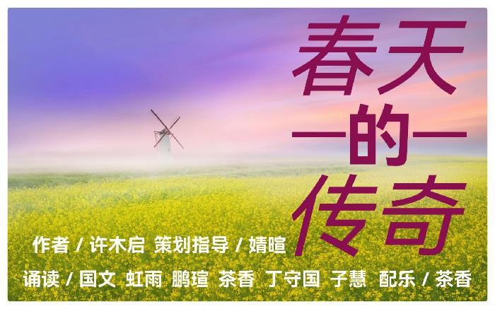 春天的传奇 ll 作者许木启 ll 诵读 国文 虹雨 鹏瑄 茶香 丁守国 子慧(图2)