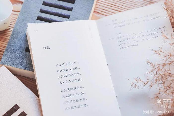 中国【仿古体新诗研究会】铁路分会2022第三期微刊才艺展示专辑 京津沪头条(图17)
