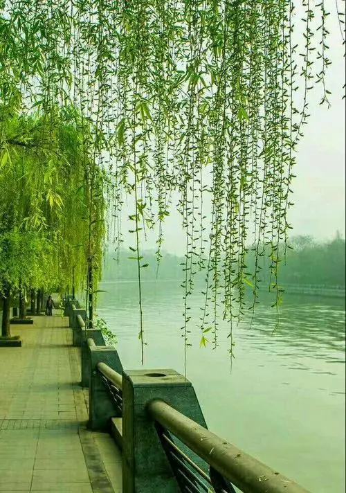 [桃源古韵]2022年古韵作品精选(一)本期审核老师:赵子玉 老顽童 李吉伟[总1075期]（图8）