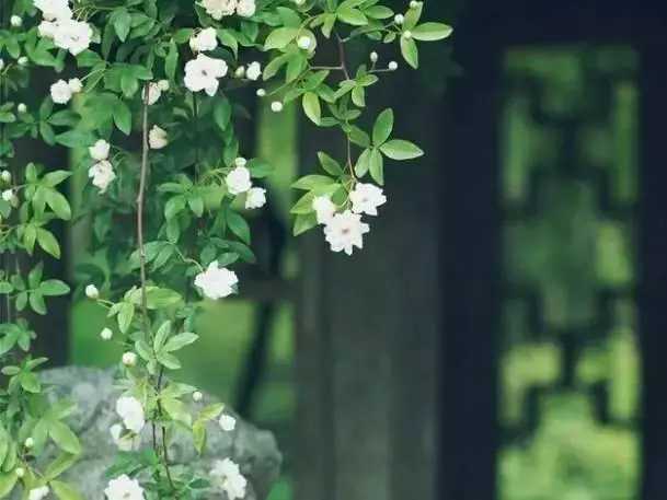 [桃源古韵]2022年古韵作品精选(一)本期审核老师:赵子玉 老顽童 李吉伟[总1075期]（图11）