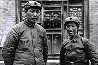 都市头条 长春头条 贺子珍骨灰里的铁片(图4)