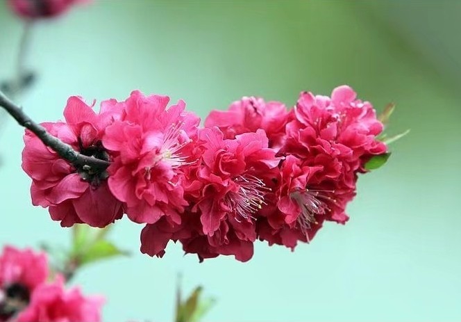 【当代文艺】《诗词十首》作者:龚孝志(图5)