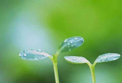 【紫罗兰文学社-北海诗社】都刊第025期||九州大地开新苑 火树银花良夜逢(图6)