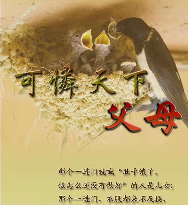 都市头条 长春头条天下父母 作者:看星星的你 主播:张丽敏(图2)