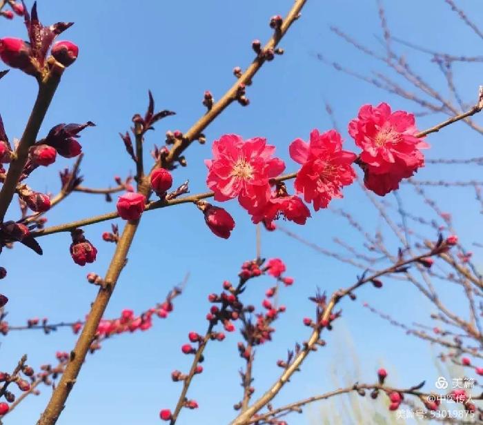 【都市头条向幸福出发编辑部】第229期 小河 主播 常彦凤（图2）