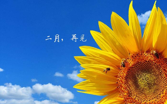 二月 再见 文‖傅晓阳（图6）