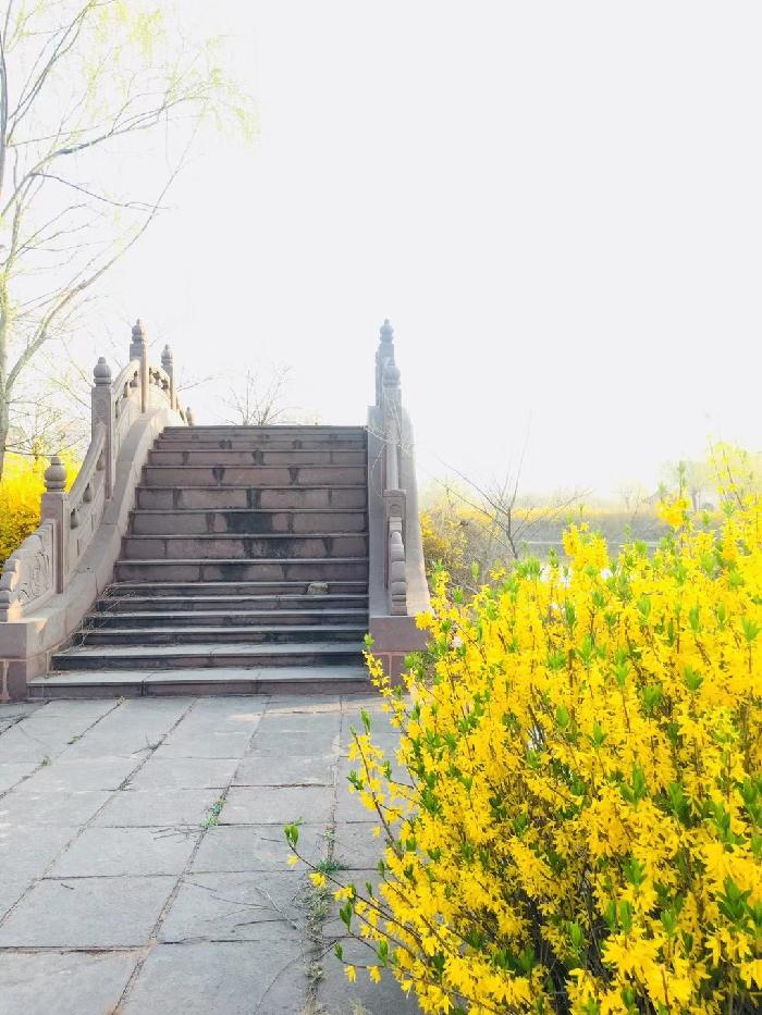 风雅诗社·第十二期·格律篇(图3)
