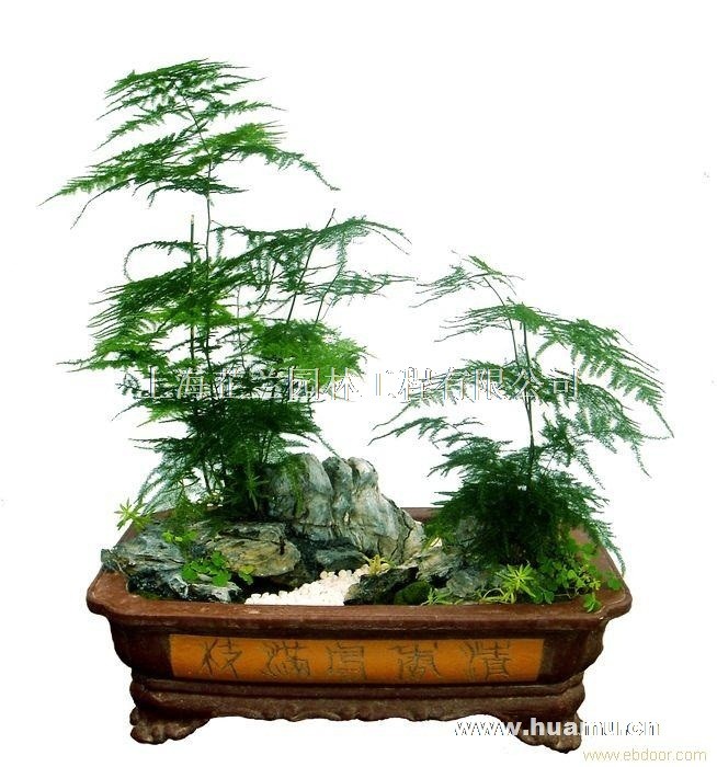 风雅诗社·第十二期·格律篇(图7)