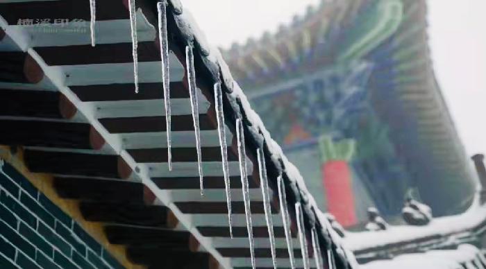 【英国文学】精品朗诵《冰凌花》作者｜陆辉（中国）、朗诵｜光辉岁月（中国）（图3）
