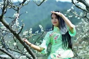《梨花又碰我的伤》作者/于连江 主播/银尘 编辑/胡琴