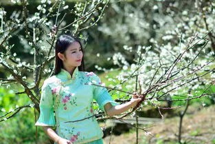 《梨花又碰我的伤》作者/于连江 主播/银尘 编辑/胡琴(图2)