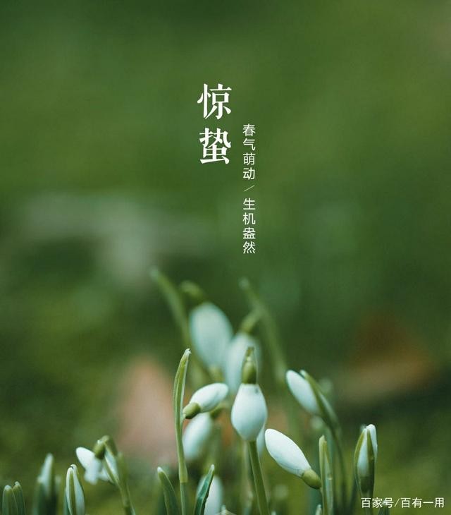 七绝三首 壬寅惊蛰 杜华（内蒙古包头）【冰心文化传媒】（图5）