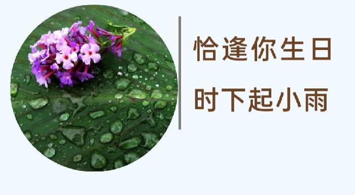 【雅诗总会】精品★恰逢你生日时下起小雨‖作家:剑钧&诵读:残云(图2)