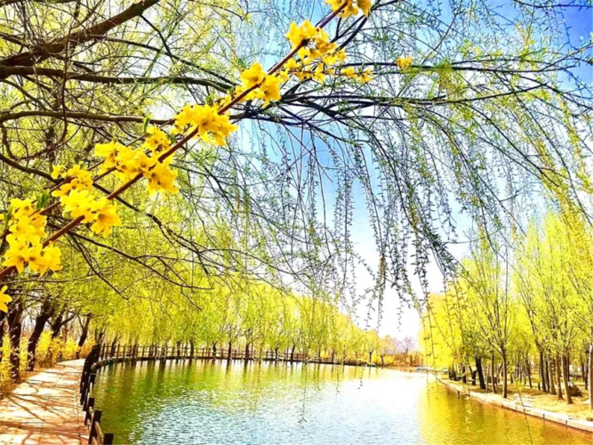 江南诗絮-0505【现代诗苑】(图15)
