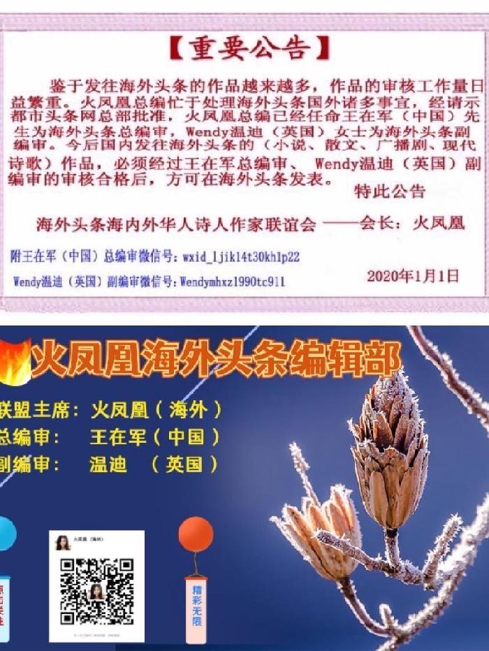 弘华老师倾情演绎火凤凰（海外）的作品：诗情的花朵在三月绽放｜海外头条（图9）