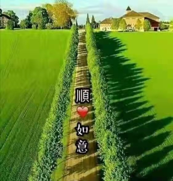 踏青 文／山乡（湖北）【冰心文化传媒】制作 冰心（图5）