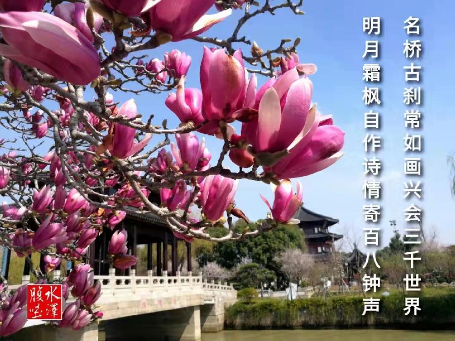 祝福朋友（图3）