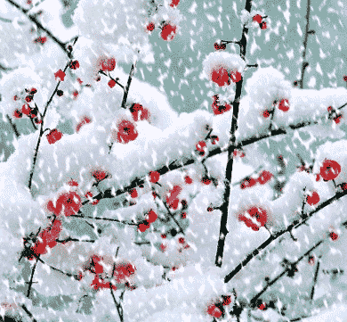【潇湘文学社】潇湘风荷联社《诗钟梅、雪二唱》（总289期）（图6）