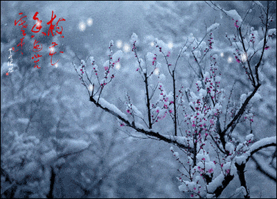 【潇湘文学社】潇湘风荷联社《诗钟梅、雪二唱》（总289期）（图9）