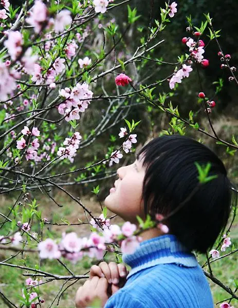 桃花开了Ⅱ文/赵京江，图/网络（图9）