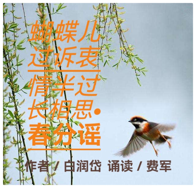 蝴蝶儿过诉衷情半过长相思•春分谣 ll 作者 白润岱 ll 诵读 费军(图2)