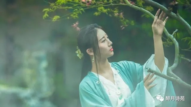 风雅诗社·第十四期·格律篇（图4）
