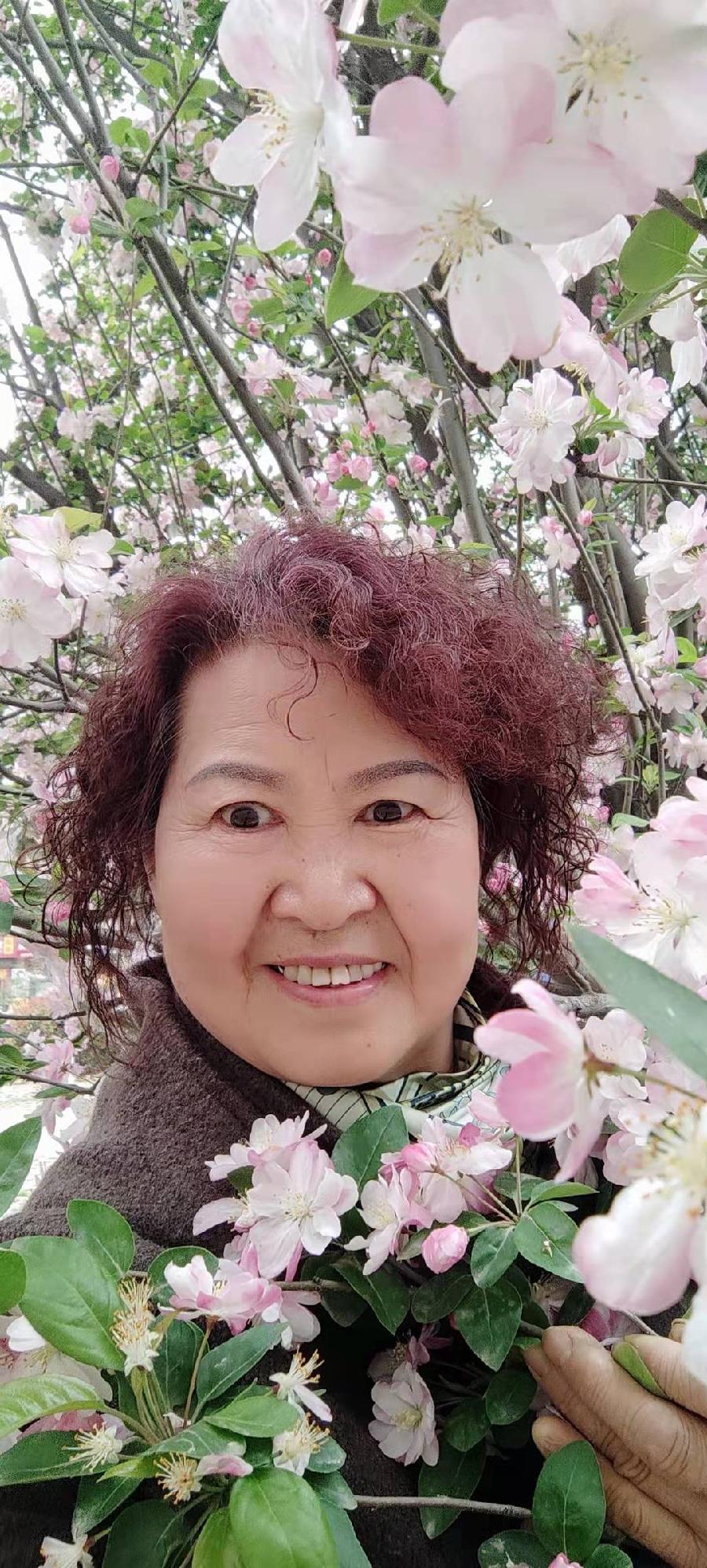 【雅诗总会】精品★藏头诗《百卉含英》(外十一首)‖作者:白莲/腊梅(图7)