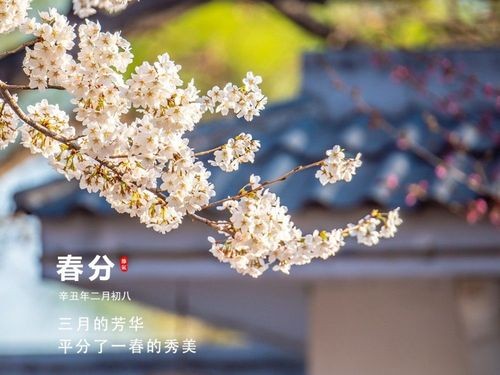 【春韵感怀】“农民诗人”曹南强//现代农村｛系列作品展｝（图6）