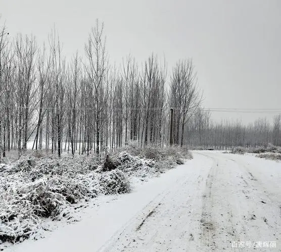 [桃源馨声]秦腔|作者:雪原(吉林)主播:涛声依旧[总1084期]（图5）