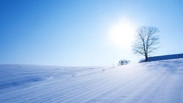 俺在青山有个家:作者 鲁文甲|海外头条(图8)