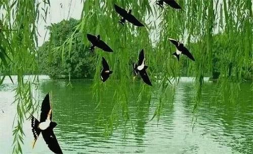 【九江文学社：北京头条】尹连荣老师诗作欣赏（图3）
