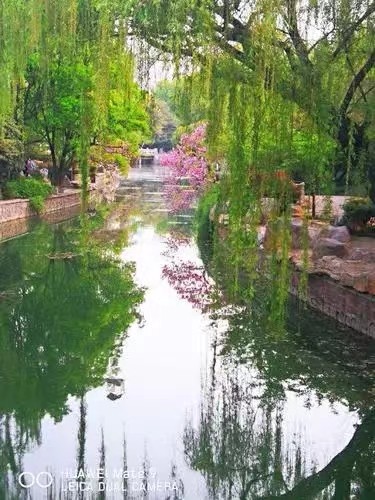 【九江文学社：北京头条】尹连荣老师诗作欣赏（图6）