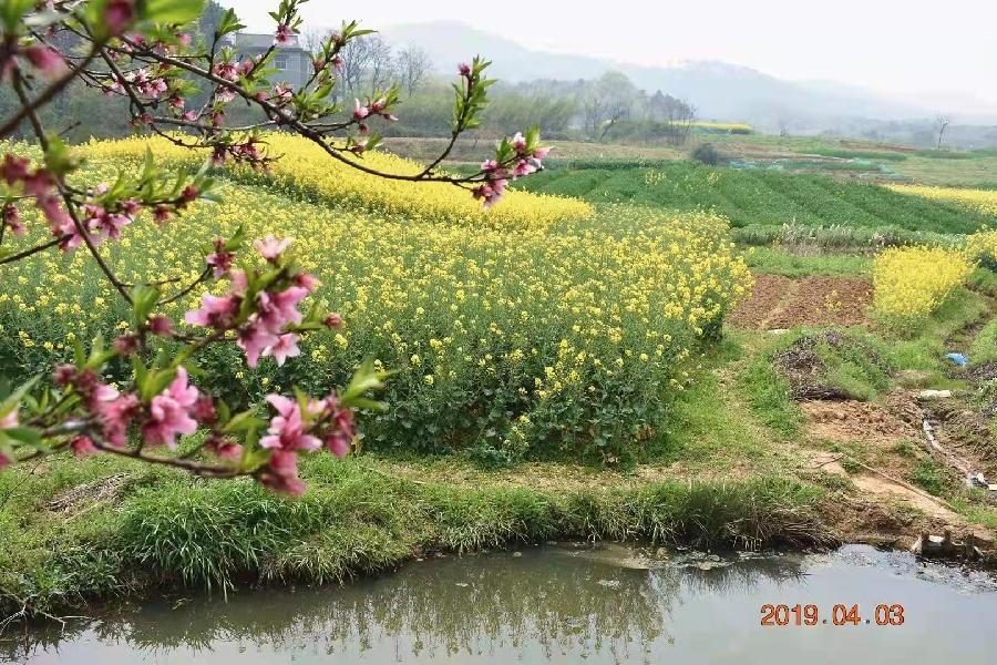 飞虎队四大才子组诗合辑第2期《满江红》（图8）