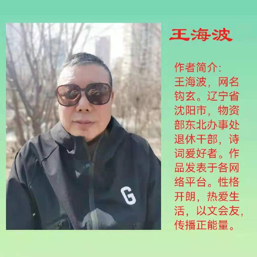 飞虎队四大才子组诗合辑第2期《满江红》(图5)